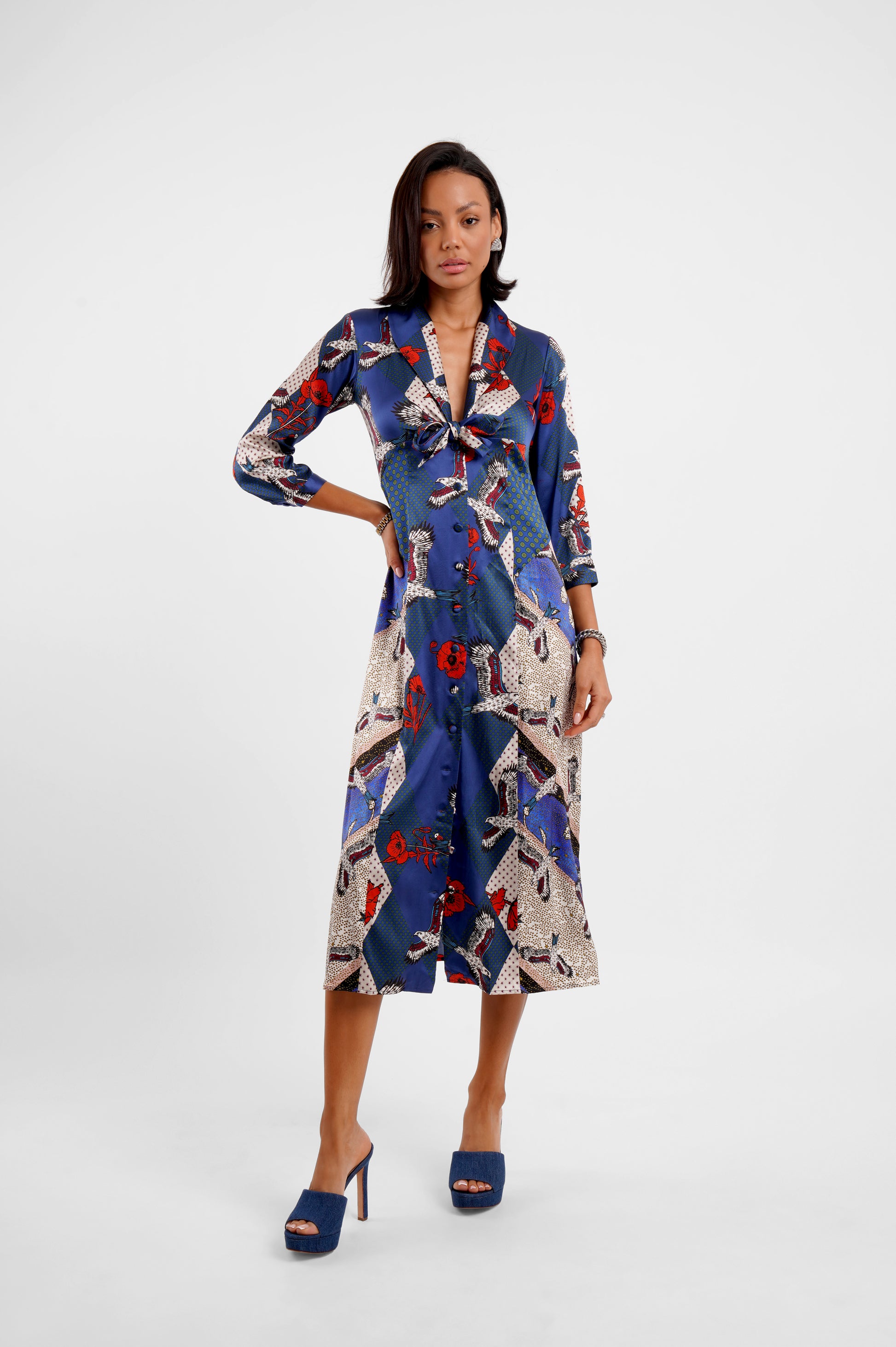 v neck mid length silk button down dress with tie front and eagle inspired print model shot