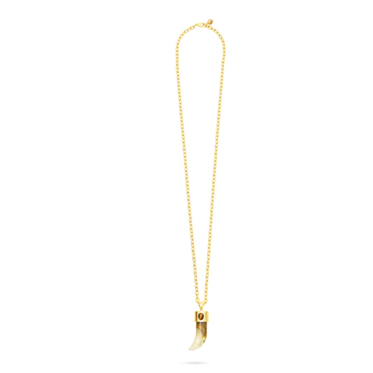 Long gold plated necklace with sharks tooth pendant charm