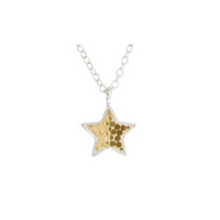 Silver chain with star pendant with small gold dots