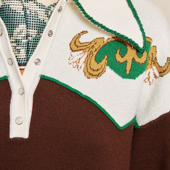 Close-up of a knit sweater with a brown body, white yoke, green trim, and a gold embroidered motif on the chest. A patterned scarf and dangling earrings are partially visible at the neckline.