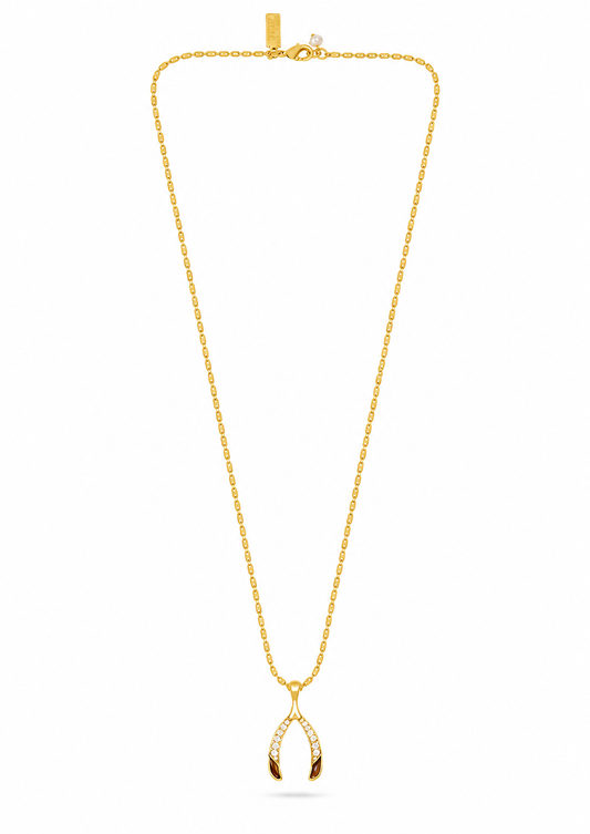 wishbone pendant with tigers eye and cz on a gold chain