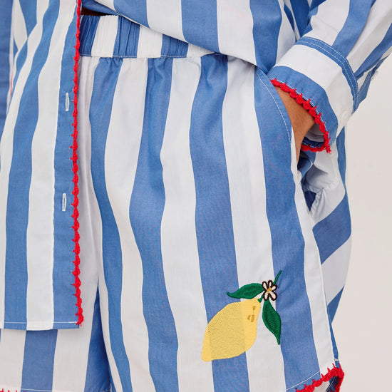 Blue and white striped outfit with a lemon design on a plain background