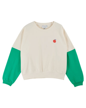 cream boxy cotton sweater with green arms and central park drawing on the back