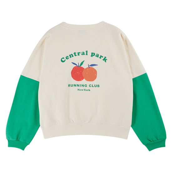 cream boxy cotton sweater with green arms and central park drawing on the back rear view