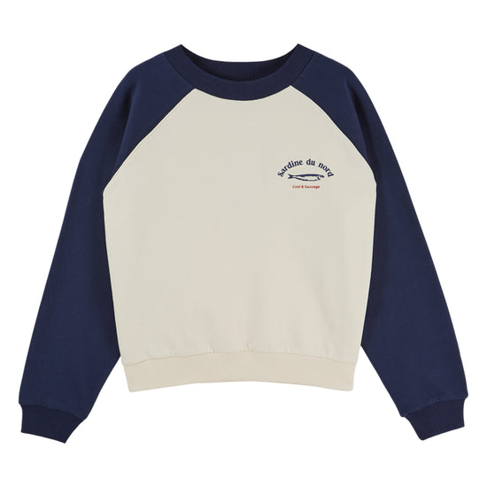 blue and white sweatshirt on a white background
