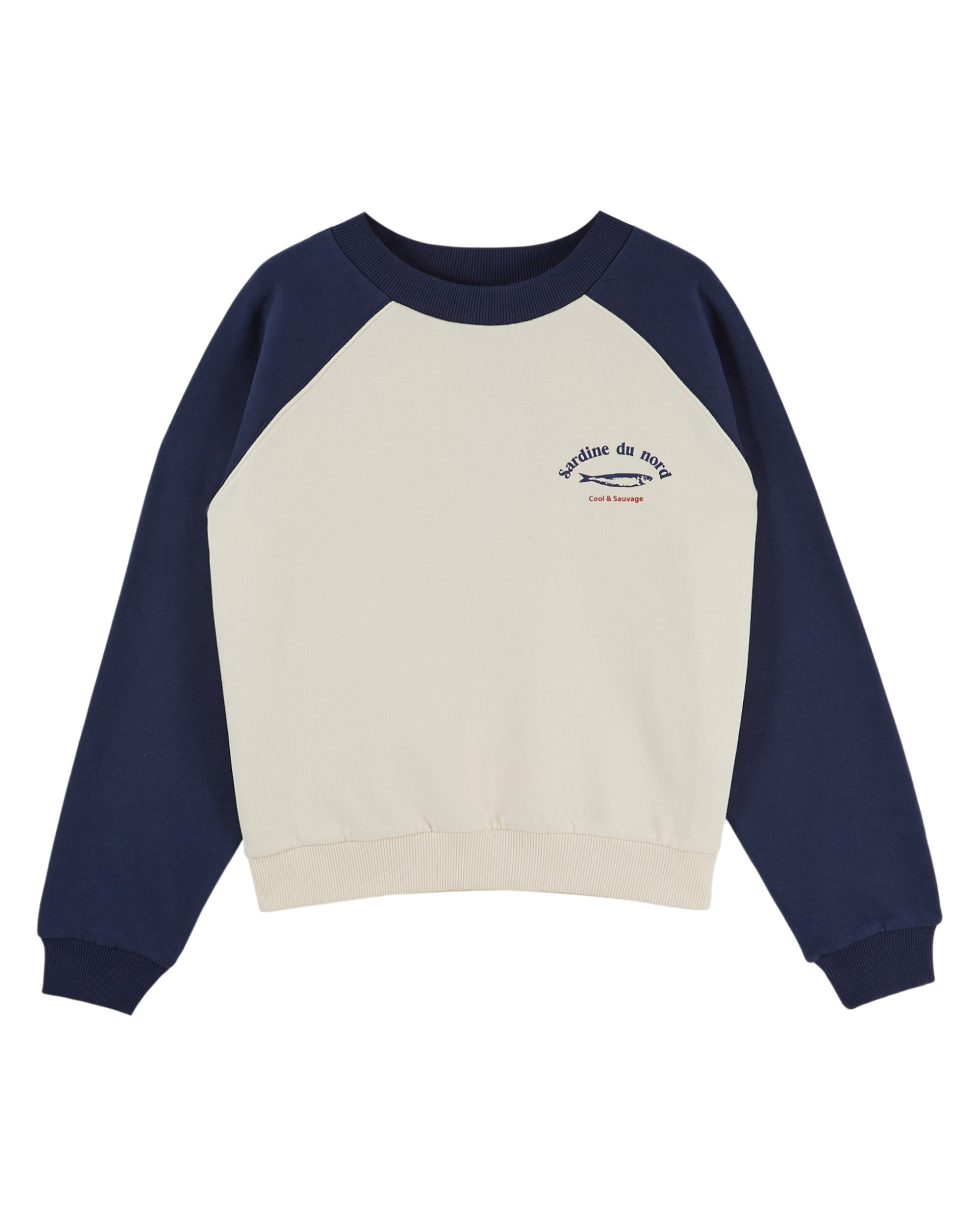 blue and white sweatshirt on a white background