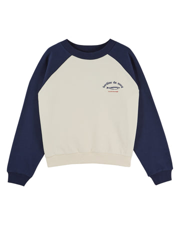 blue and white sweatshirt on a white background