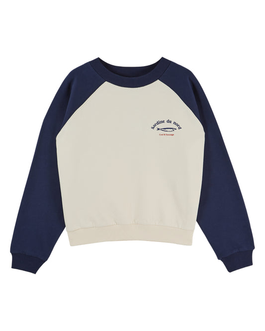 blue and white sweatshirt on a white background