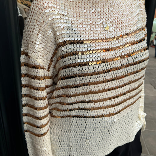 Sequin sparkly slightly off the shoulder jumper with camel stripes