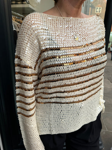 Sequin sparkly slightly off the shoulder jumper with camel stripes