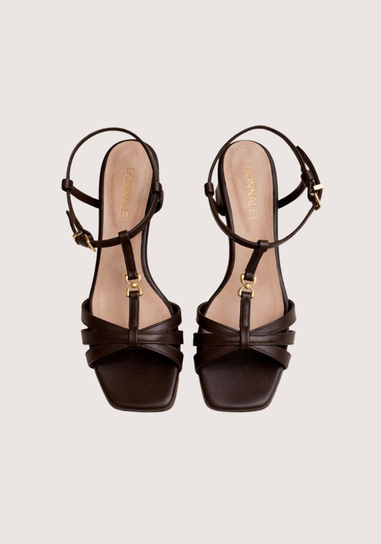 Pair of brown sandals with gold straps on a light beige background