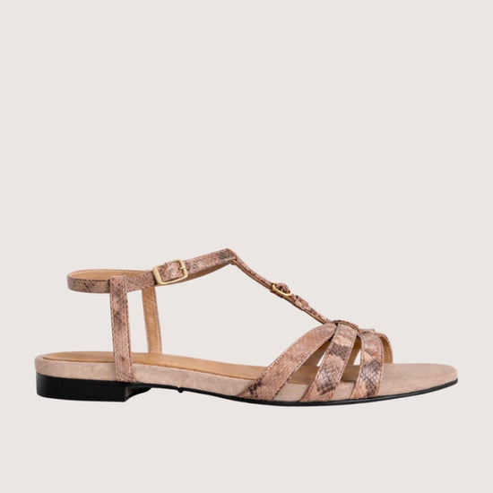 Beige sandal with strap design on a beige background