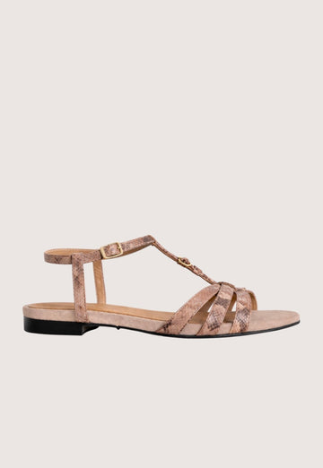 Beige sandal with strap design on a beige background