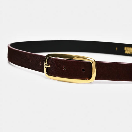 A dark brown leather belt with a polished gold-tone metal buckle, shown coiled on a light gray background.