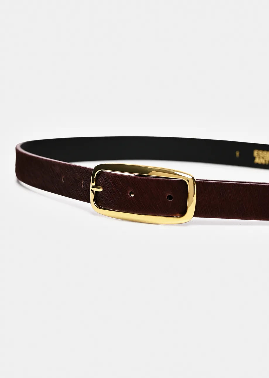 A dark brown leather belt with a polished gold-tone metal buckle, shown coiled on a light gray background.