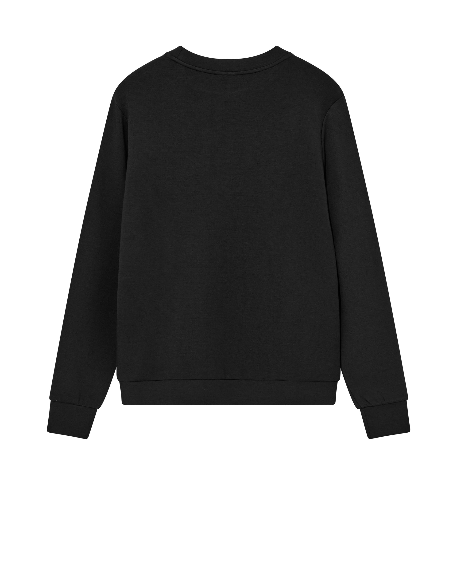 Rear view of mens black round neck sweatshirt