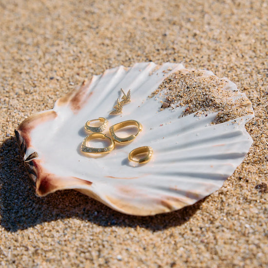 Gold rings on a seashell with sand in the background