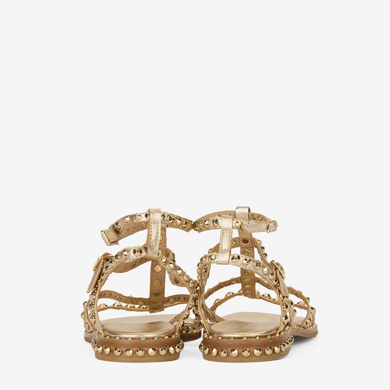 Gold sandal with gold studs on a white background rear view