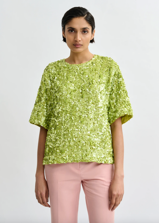 Woman wearing a green sequined top and pink pants on a white background