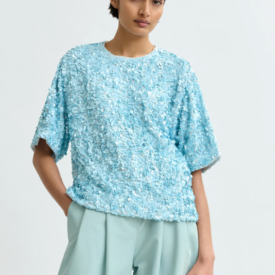 Blue sequin short sleeve top