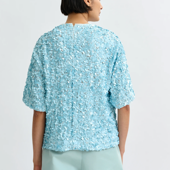 Rear view of pale blue sequin top