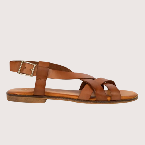 Brown sandal with a gold buckle on a light gray background
