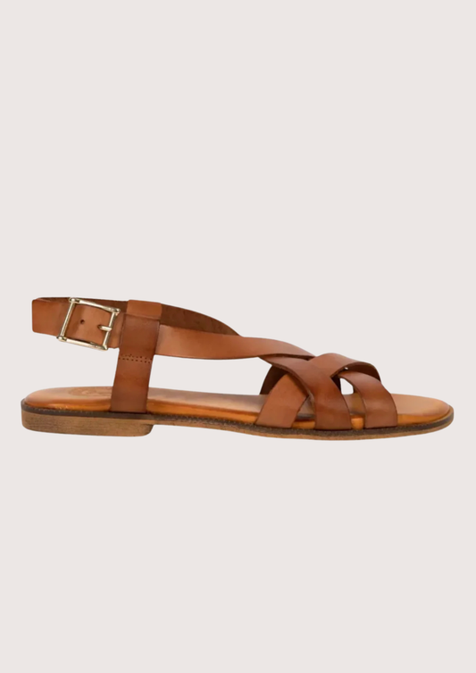 Brown sandal with a gold buckle on a light gray background
