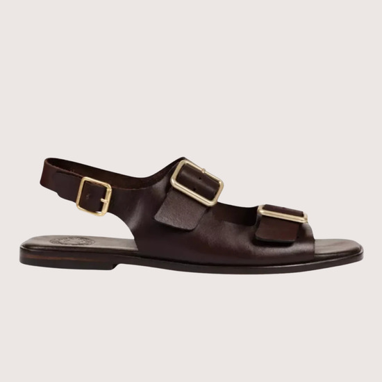 Brown leather sandal with gold buckles on a white background