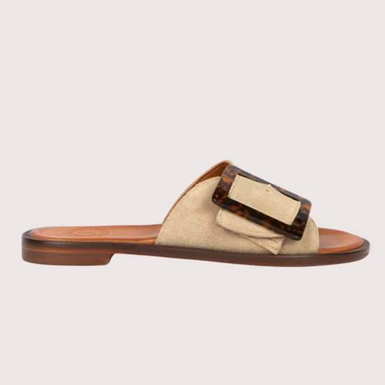 Beige sandal with brown buckle on a light gray background