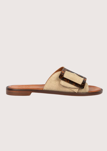 Beige sandal with brown buckle on a light gray background