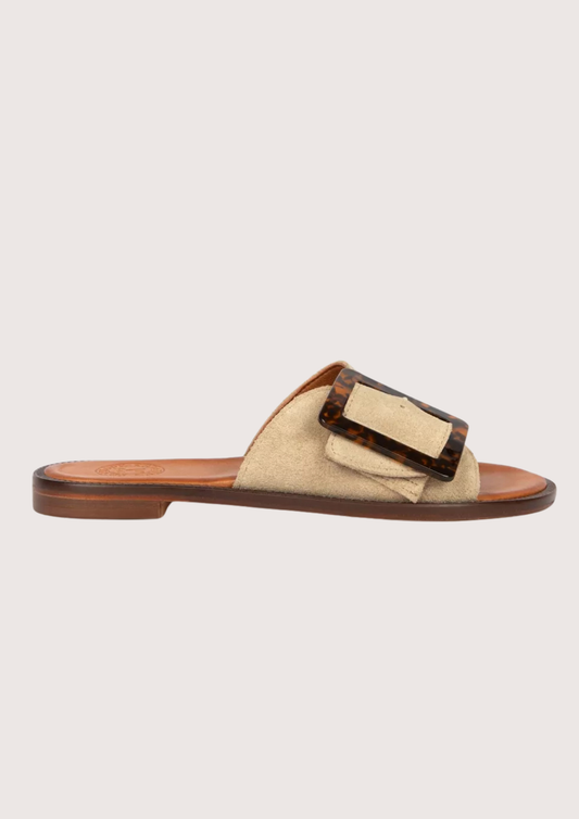 Beige sandal with brown buckle on a light gray background