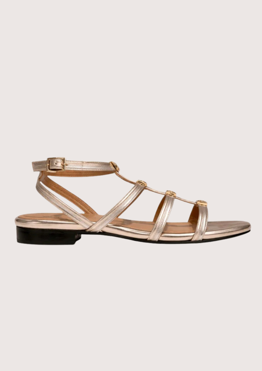 Gold sandal with a black heel on a light gray background