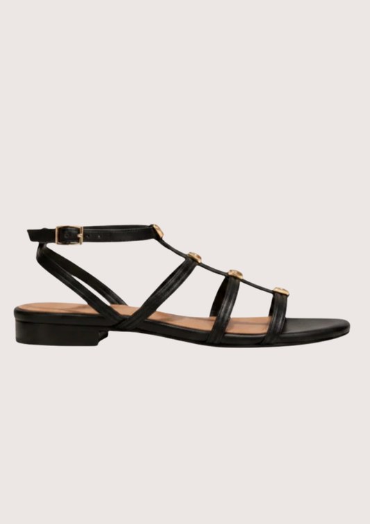 Black sandal with gold hard ware on a white background
