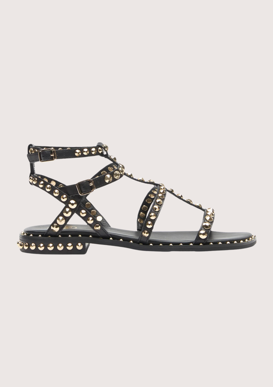 black sandal with gold studs on a white background