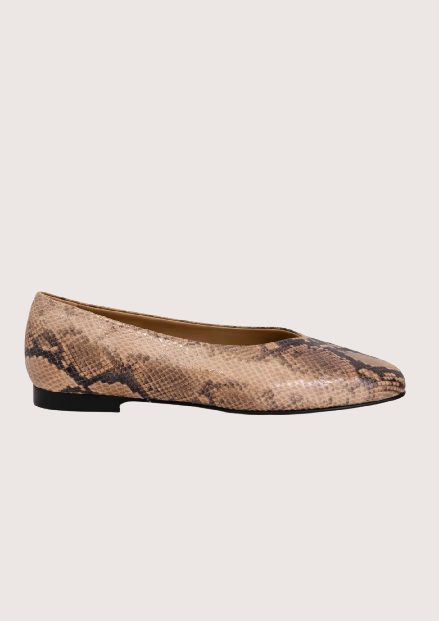 Snake print flat shoe on a light background