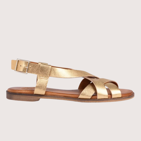 Pair of gold sandals on a white background