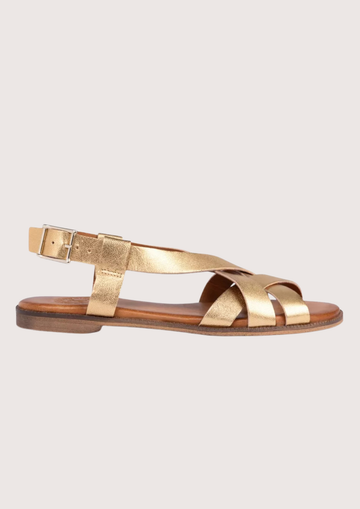 Pair of gold sandals on a white background