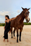 A woman in a flowing black dress stands barefoot on a sandy beach next to a brown horse, with her hand resting on the horse's neck. The background features a pale blue sky with light clouds and distant green hills.