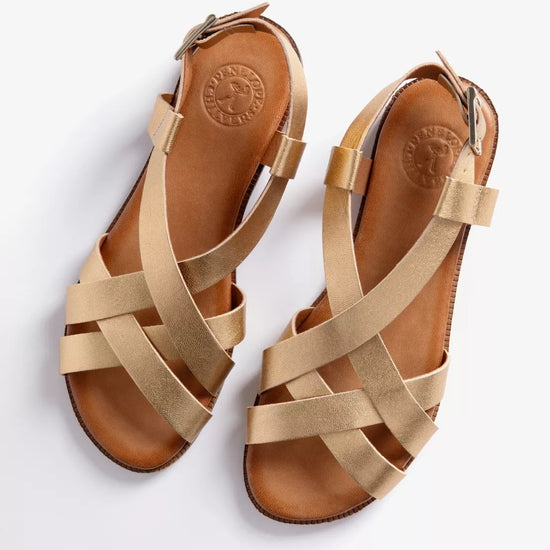 Pair of gold sandals on a white background