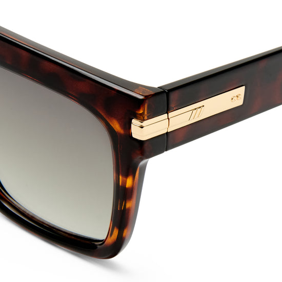 Tortoise shell Le Specs sunglasses on a white background close up
