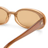 Brown sunglasses with a clear background