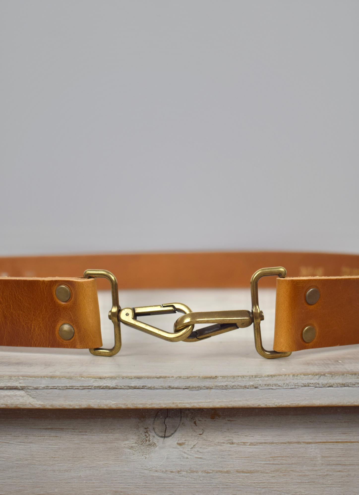 Tan leather bag strap with bronze salamander with lizard buckle