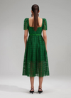 Green lace detail dress with short sleeves full skirt and fabric waistband