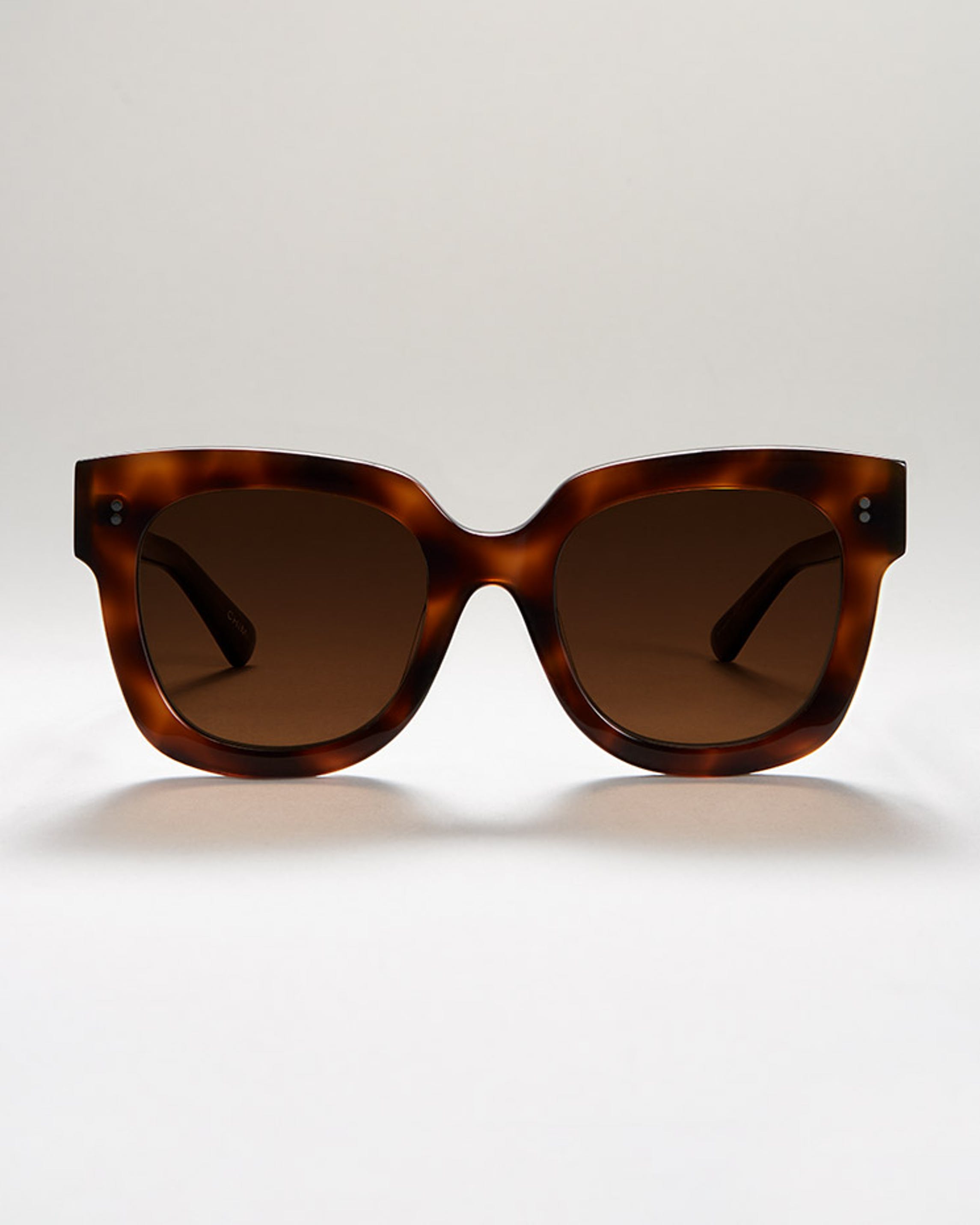 Oversize sunglasses in tortoishell frame with brown lenses